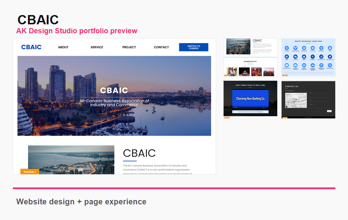CBAIC website portfolio preview